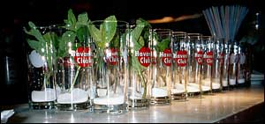 Image courtesy the talent at Madorangefools.com